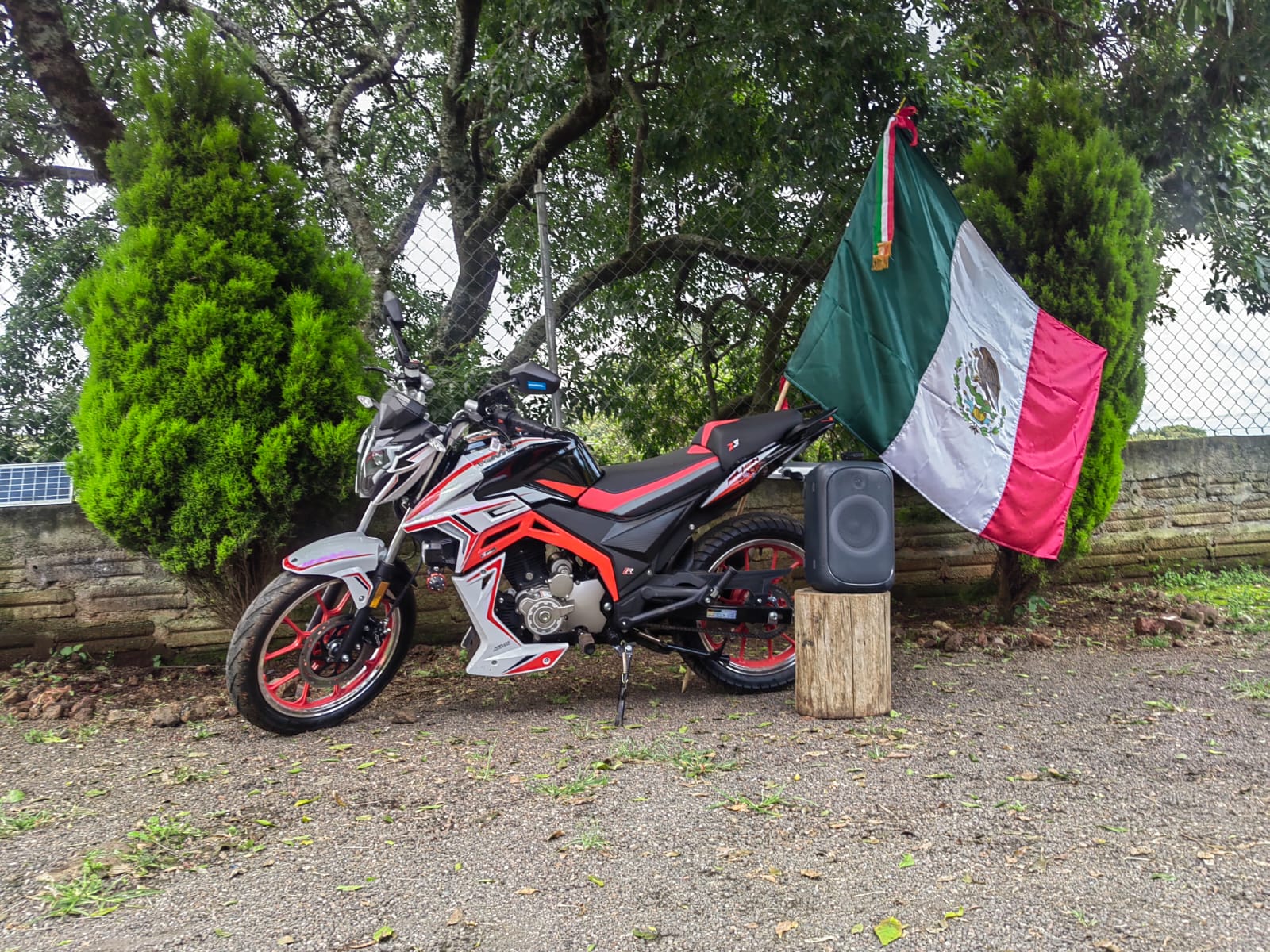 Edicion #2 falkon 220 2025 Edicion #2 falkon 220 2025